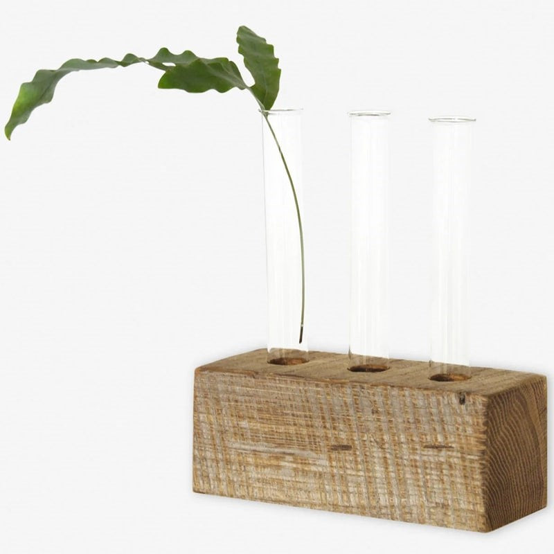 Propagation Vase Trio