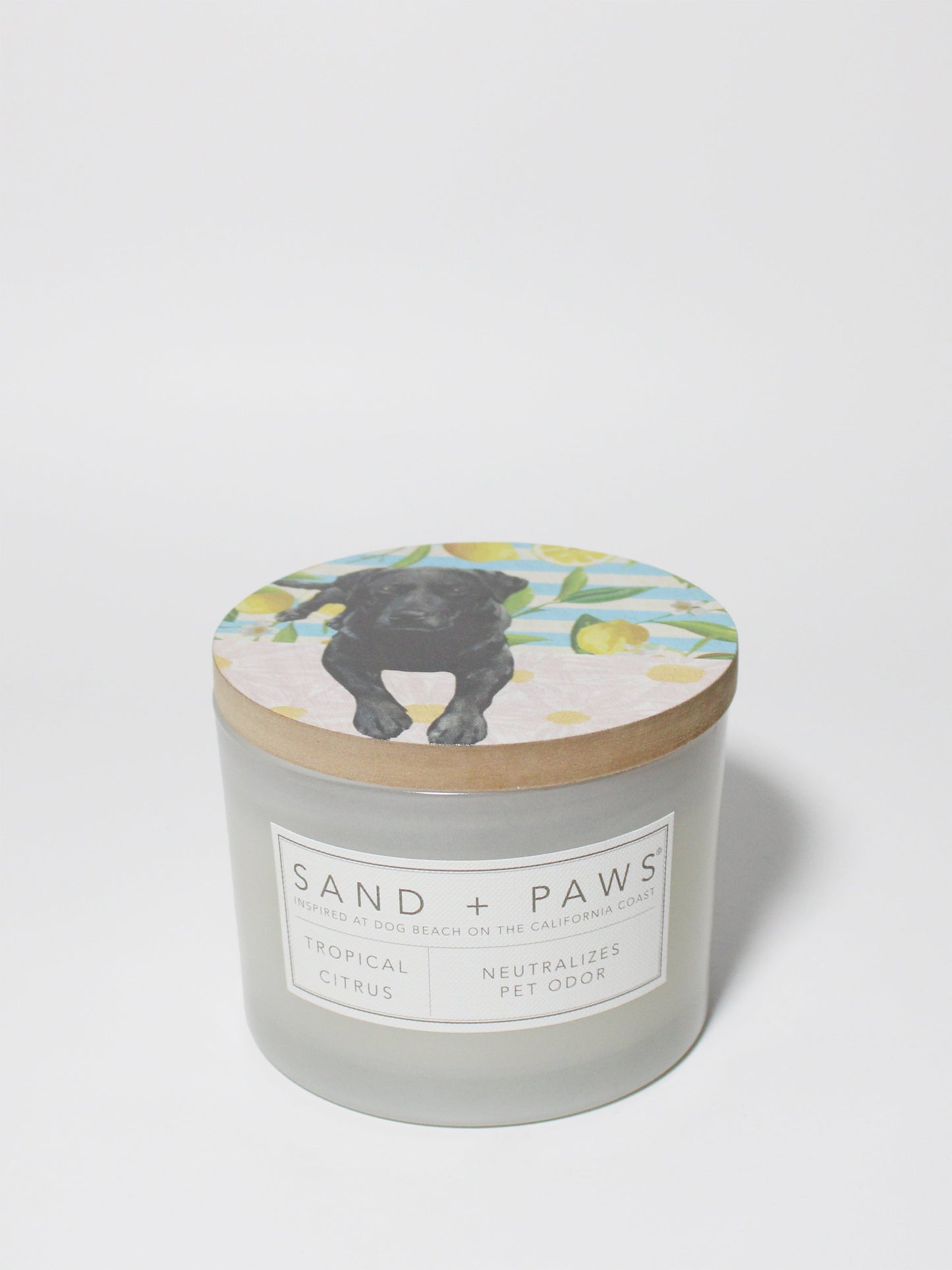 Sand + Paws Tropical Citrus 12 oz scented candle