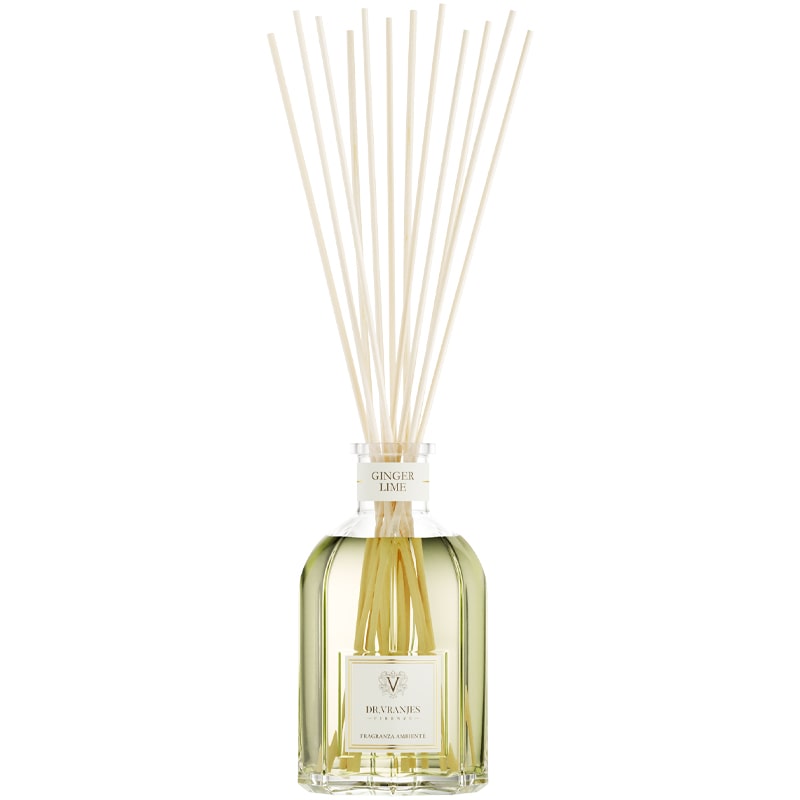 Dr. Vranjes Ginger Lime Diffuser (500 ml)