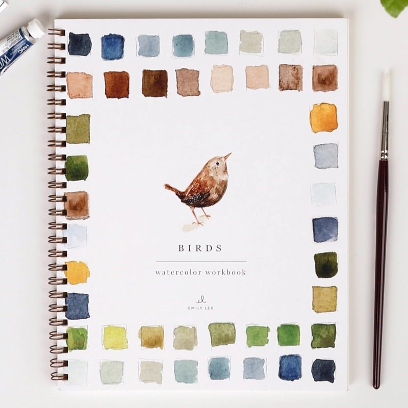 Birds Watercolor Workbook