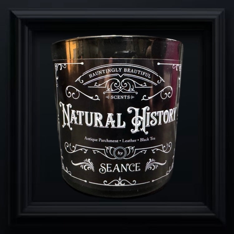 Natural History candle