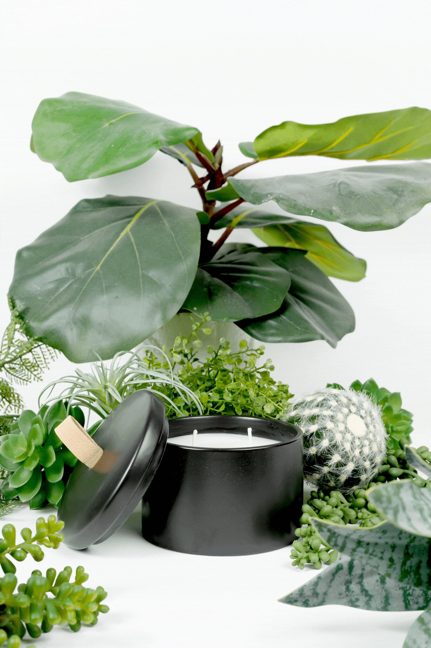 Mr. Blonde | Stash All